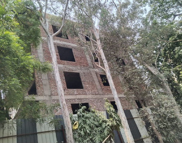 blog image